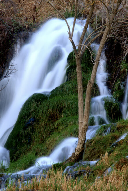 Arrive at Krka waterfalls at 10am